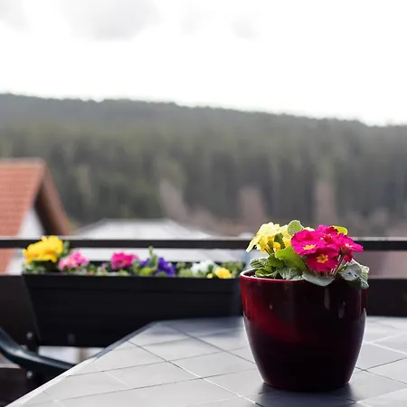 Neu Surkis Loggia An Der Sonne